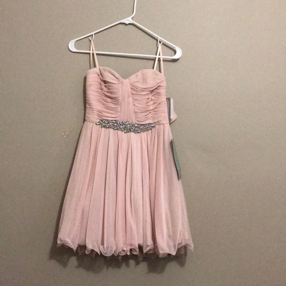 Millennial pink dress